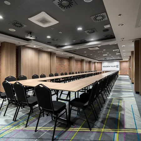 غولدن توليب كراكوف كازيميرز كراكوفيا