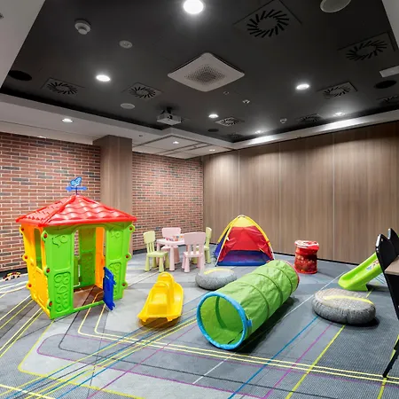 غولدن توليب كراكوف كازيميرز