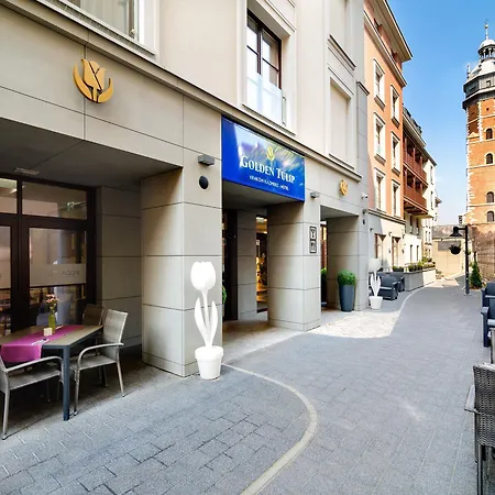 غولدن توليب كراكوف كازيميرز كراكوفيا